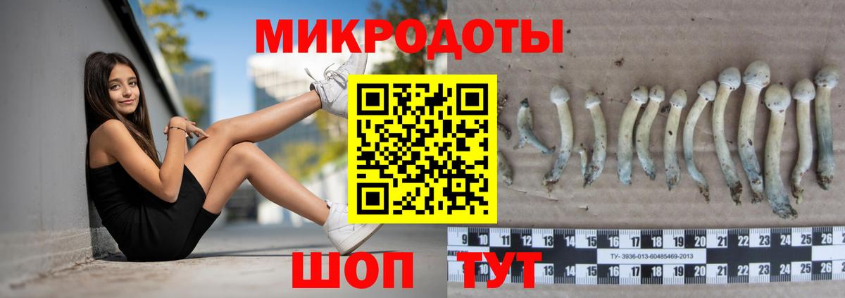 Псилоцибиновые грибы ЛСД Ачинск